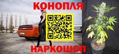 мяу мяу мука Канаш