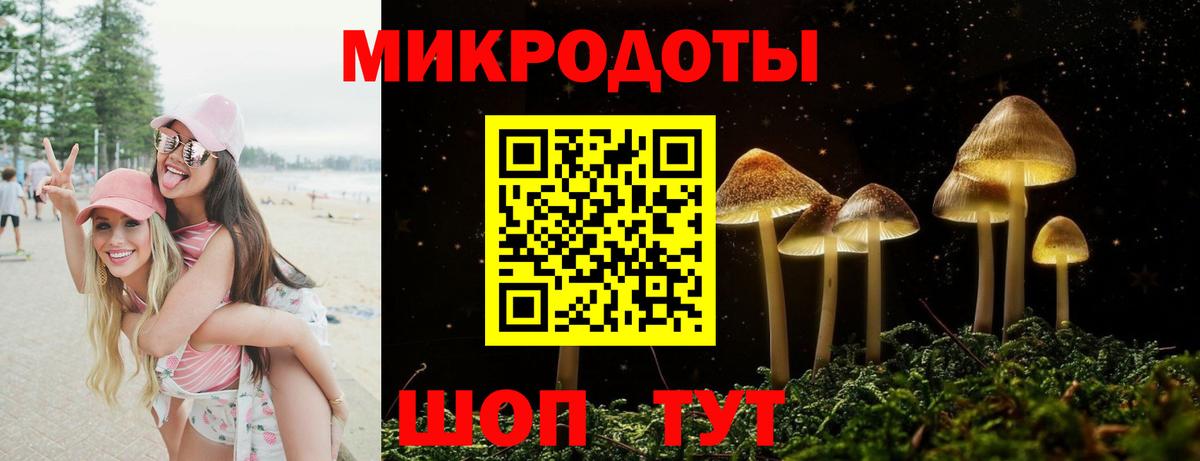 Галлюциногенные грибы MAGIC MUSHROOMS  Галлюциногенные грибы Psilocybine cubensis  Вход с VPN  Курчатов 
